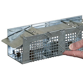 Havahart X-small 2-door Animal Trap - 10" X 3" X 3"