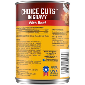 Pedigree Choice Cuts in Gravy with Beef Adult Wet Dog Food - 22 oz