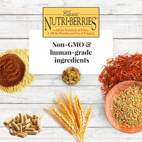 Lafeber Classic Nutri-berries Macaw & Cockatoo Food - 3.5 Lb