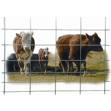Primesource Cattle Panel Gauge - 50" X 8'