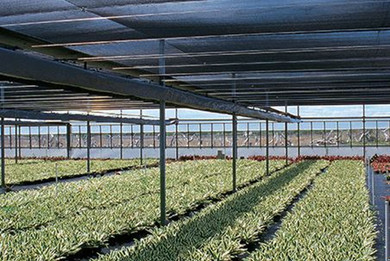 DeWitt 60% Bulk Knitted Shade - Green