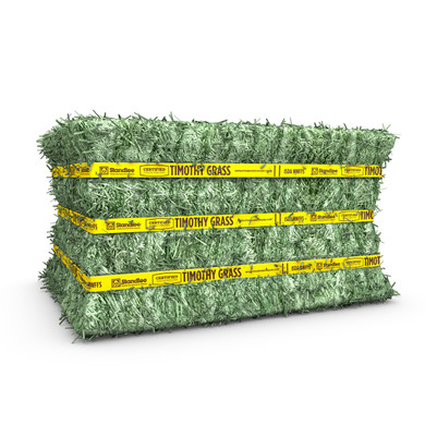 Standlee Premium Western Forage Certified Timothy Grass Compressed Hay Bale 50 lb.