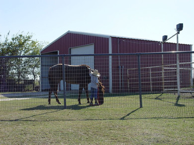 Ok Brand Galvanized Horse Panel - 5' X 16' - 6 ga