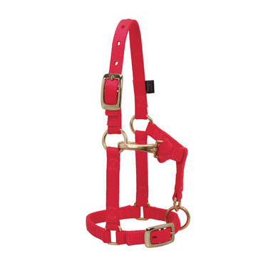 Weaver Leather Miniature Chin & Throat Horse Adjustable Halter - Average
