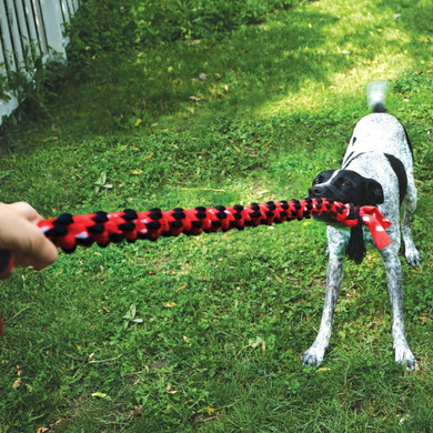 Kong Signature Rope Double Tug Dog Toy - Large