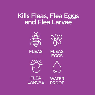 Tevra Vetality Advotect II for Large Cats