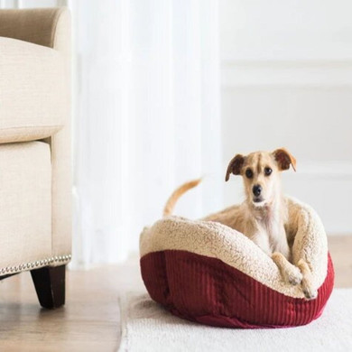 Aspen Pet Self-warming Oval Lounger Pet Bed - 19"