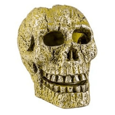 Tetra Glofish Ornaments Skull