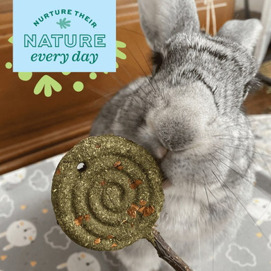 Oxbow Enriched Life Timothy Apple Lollipop