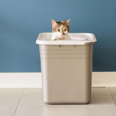 Petmate Top Entry Cat Litter Box