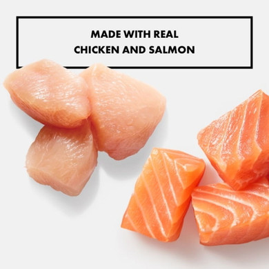 Nutro Grain Free Pate Chicken & Salmon Recipe Adult Wet Cat Food - 2.6 Oz