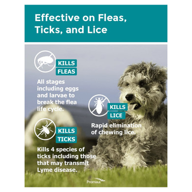 ZoGuard Plus Flea & Tick Treatment for Dogs