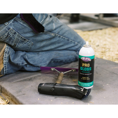 Weaver Livestock Pro Gloss Finishing Spray - 10 oz