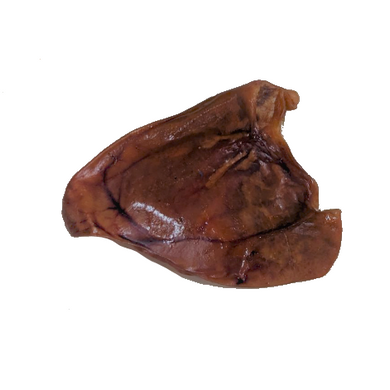 Ethical Prodcuts Pig Ear
