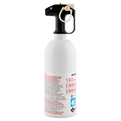 First Alert 5BC Kitchen Extinguisher