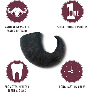 Wild Eats Water Buffalo Horn - Medium