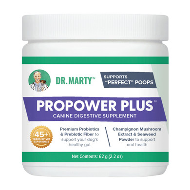 Dr. Marty ProPower Plus Canine Digestive Supplement for Dog - 2.2 oz
