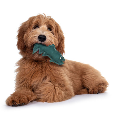 Spot Dura-Fused Leather Fish Toy for Dog - Assorted - 8"