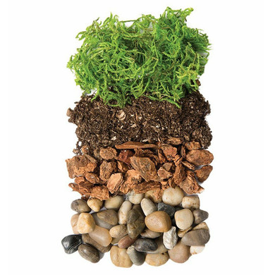 Supermoss Terrarium DIY Jar Kit - Portland