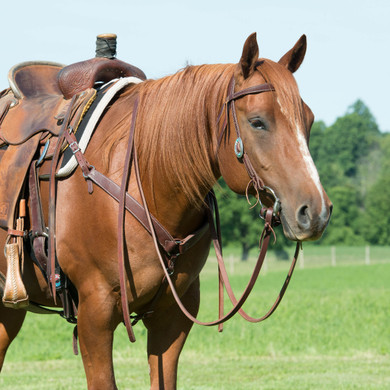 Weaver Equine Contoured Working Tack Breast Collar - Golden Chestnut