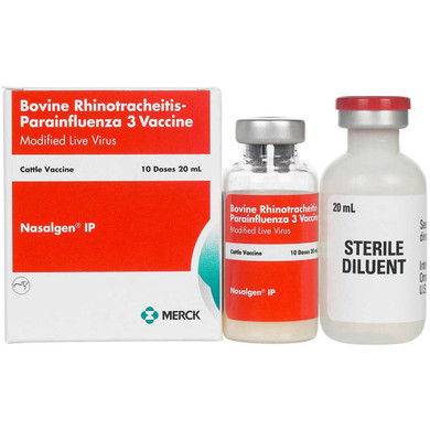 Merck Bovilis Nasalgen IP Cattle Vaccine 20 mL/10 Dose