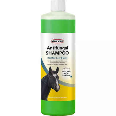 Durvet Antifungal Shampoo for Horse