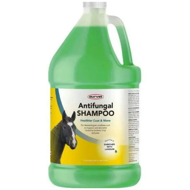 Durvet Antifungal Shampoo for Horse