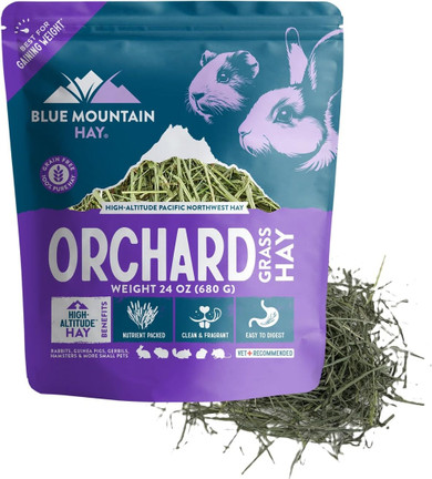 Blue Mountain Hay Digestive Stability Orchard Grass Hay for Small Animal - 24 oz