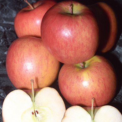 Braeburn Apple - 7 Gallon