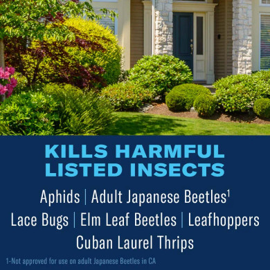 BioAdvanced Shrub Care Protect & Feed, Granules, 4 lb