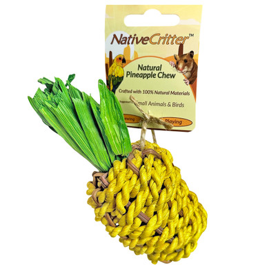 Exotic Nutrition Native Critter Pineapple Chew Toy - 6" X 2" X 2"