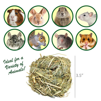 Exotic Nutrition Natural Timothy Play Ball - 3.8 oz