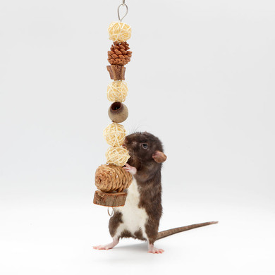 Exotic Nutrition Treetop Tower - 9" X 1-1/2"