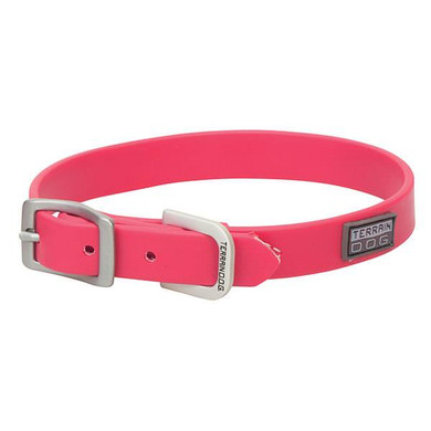 Terrain Dog X-Treme Adventure Dog Collar