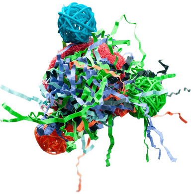 A&E Nibbles Celebration Ball Toy - 6" X 4" X 3"