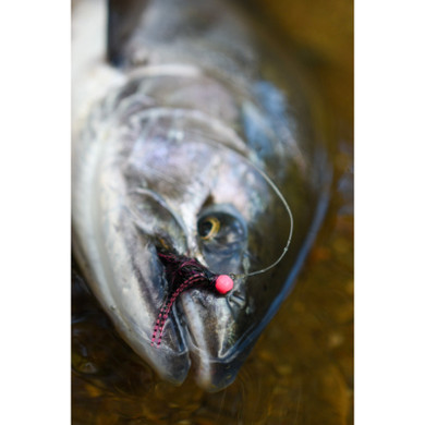 Maxima Ultragreen Fly Fishing Leader Wheels