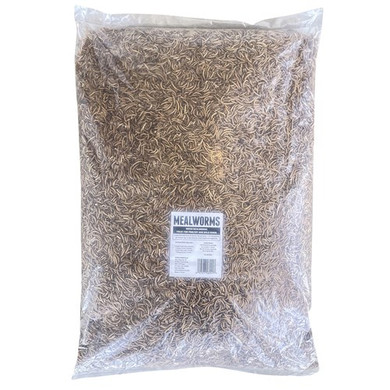 Flock Fest Dried Mealworm - 10 lb.