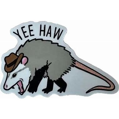 Yee Haw Cowboy Possum Sticker