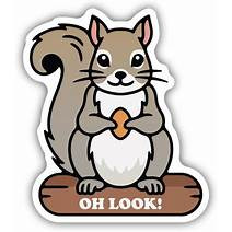 Oh Look! Squirrel Sticker