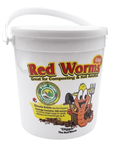 Red Worms in Pail 200ct