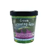 Green Lacewing Eggs Cup 1000ct