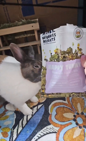 No Furries Delights Happy Tummy Forage Mix