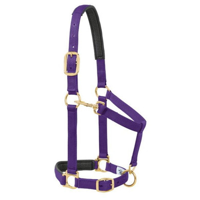 Weaver Leather Average Padded Adjustable Halter - Purple