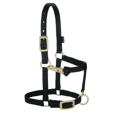Weaver Leather Miniature Horse Adjustable Chin & Throat Snap Halter - Large