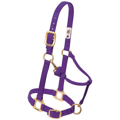 Weaver Leather 3/4" Original Adjustable Chin And Throat Snap Weanling/pony Halter - Purple