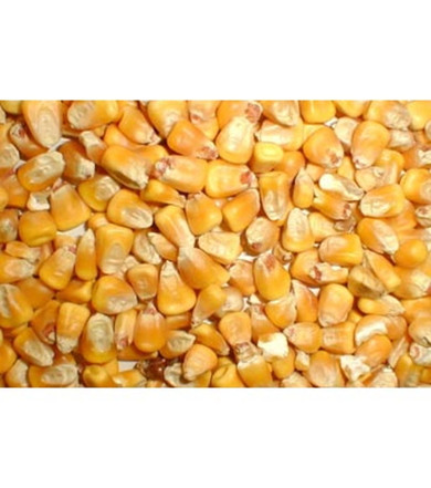 Purina Grainland Select Whole Corn - 50 lb