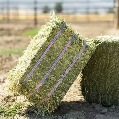 Standlee Premium Orchard Grass Bale - 50 lb (no Wrap)