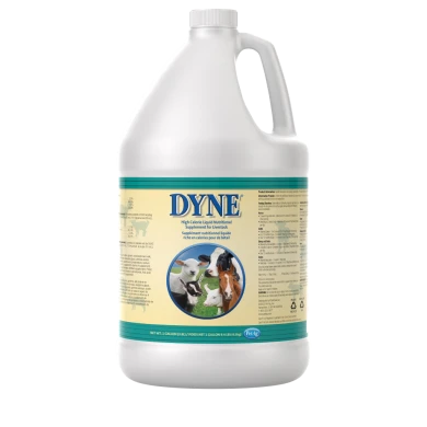 Dyne High Calorie Liquid Nutritional Supplement for Livestock