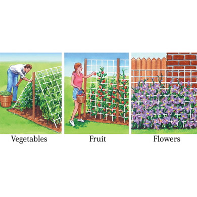 Dalen Trellis Netting for Fruits and Vegetables - 5' x 15'