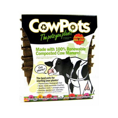 Cowpots Chemical Plantable Squared Pot